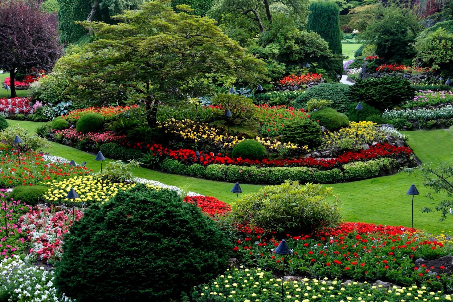 Dicas Essenciais para a Manutenção de Jardins